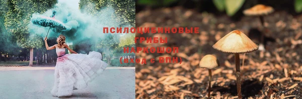 MDMA Новодвинск