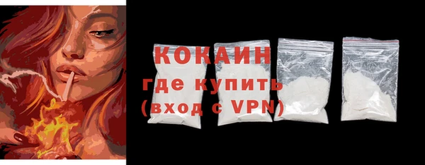 прущие грибы Вуктыл