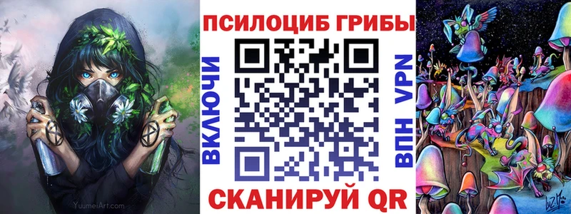 наркошоп Уварово Галлюциногенные грибы Psilocybine cubensis