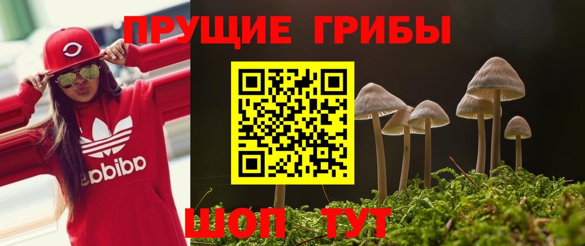 Уварово  Галлюциногенные грибы MAGIC MUSHROOMS  Вход с VPN 