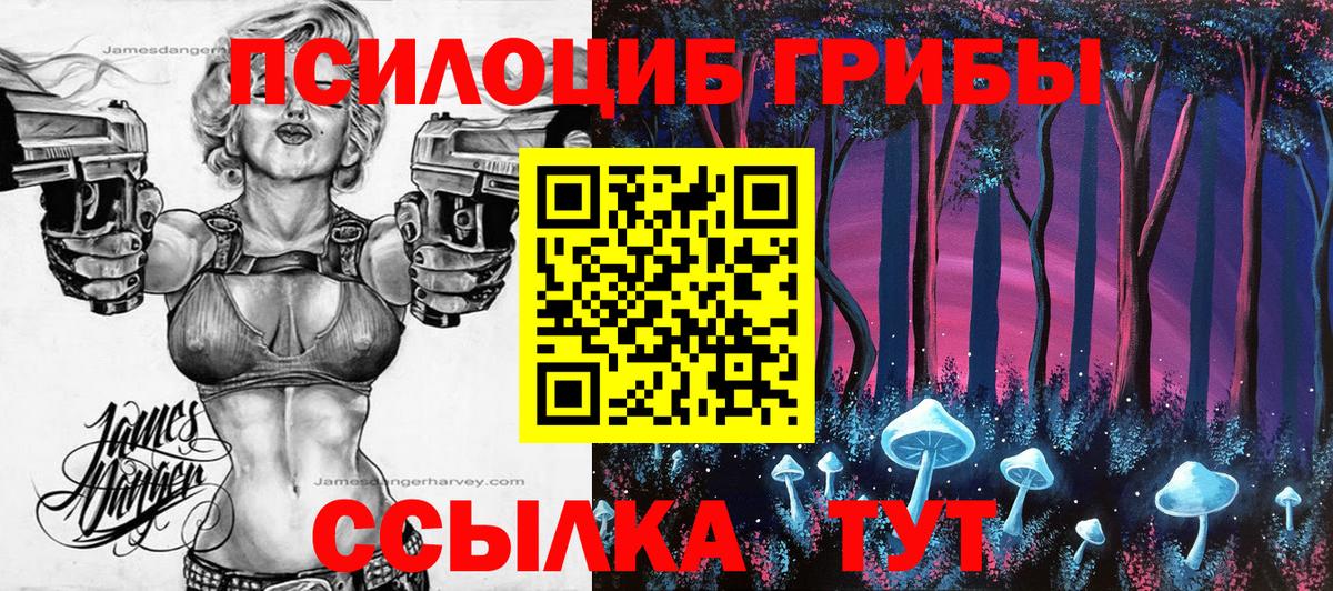 Галлюциногенные грибы Psilocybe Уварово