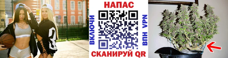 где продают   Уварово  Бошки марихуана тримм 